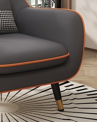 LSFH Unique Design True Innovations Nordic Light Accent Chair, Armchair with Solid Sagwan Wooden Frame for Small Apartments, Living Room or Bedroom (1 Chair, Dark Grey)