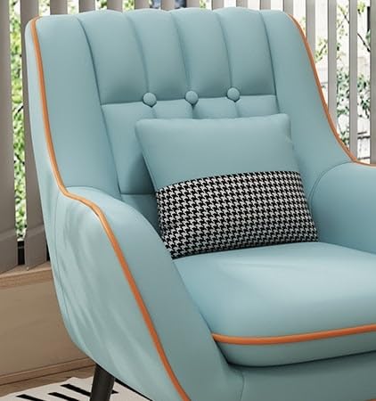LSFH Unique Design True Innovations Nordic Light Accent Chair, Armchair with Solid Sagwan Wooden Frame for Small Apartments, Living Room or Bedroom (Set of 2 Chairs, Sky Blue)